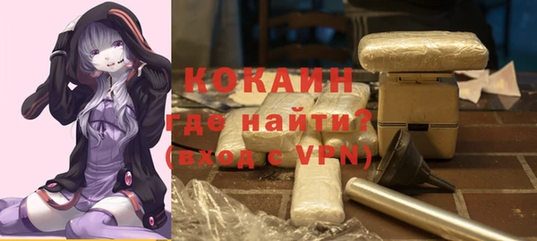 гашик Вяземский
