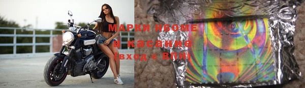 гашик Вяземский
