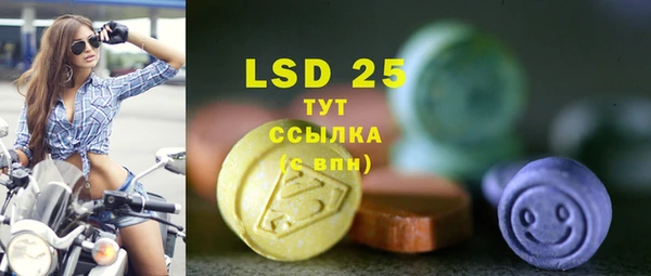гашик Вяземский