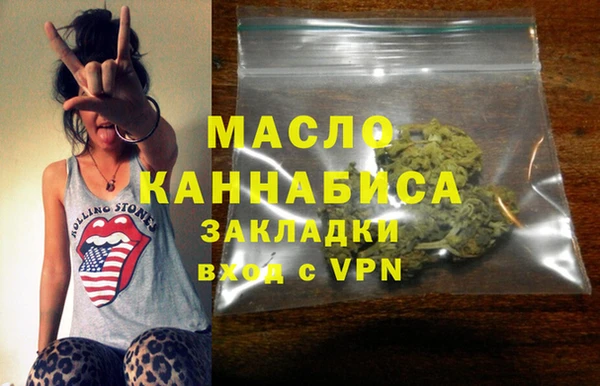 гашик Вяземский