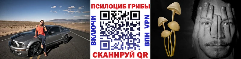 omg   цена наркотик  shop телеграм  Галлюциногенные грибы MAGIC MUSHROOMS  Заводоуковск 